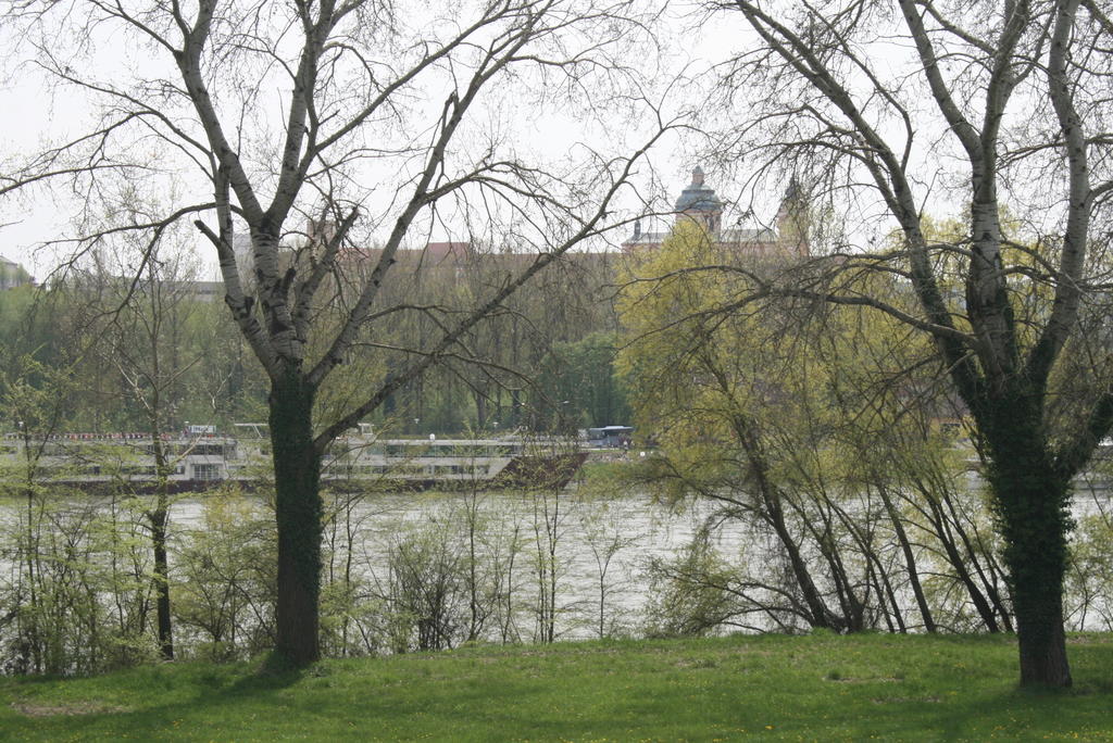 Gästehaus Egger Emmersdorf an der Donau Exteriör bild
