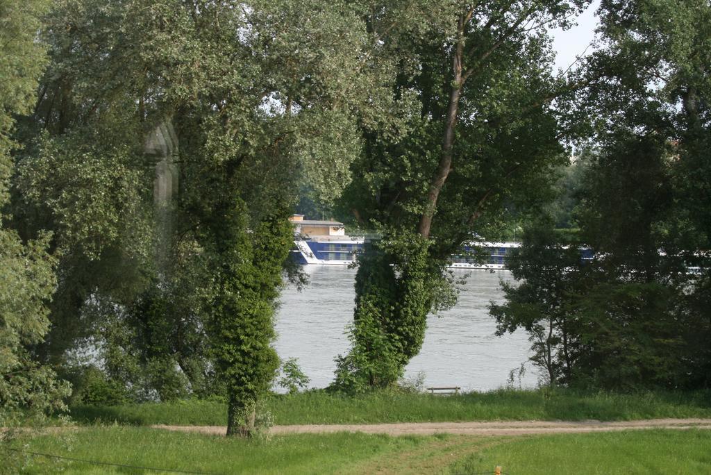 Gästehaus Egger Emmersdorf an der Donau Exteriör bild