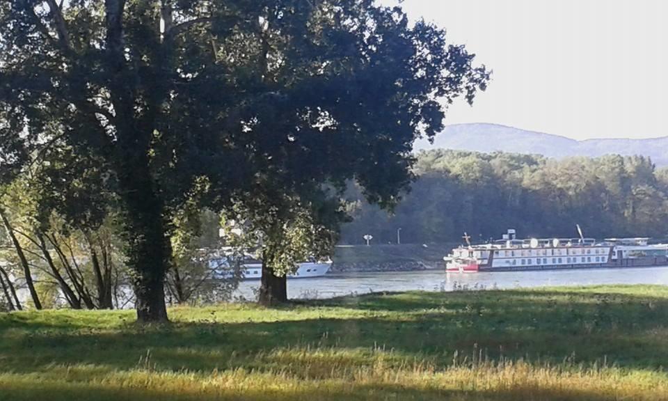 Gästehaus Egger Emmersdorf an der Donau Exteriör bild